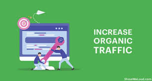 Organic Traffic: How to Increase Your Organic Traffic With SEO